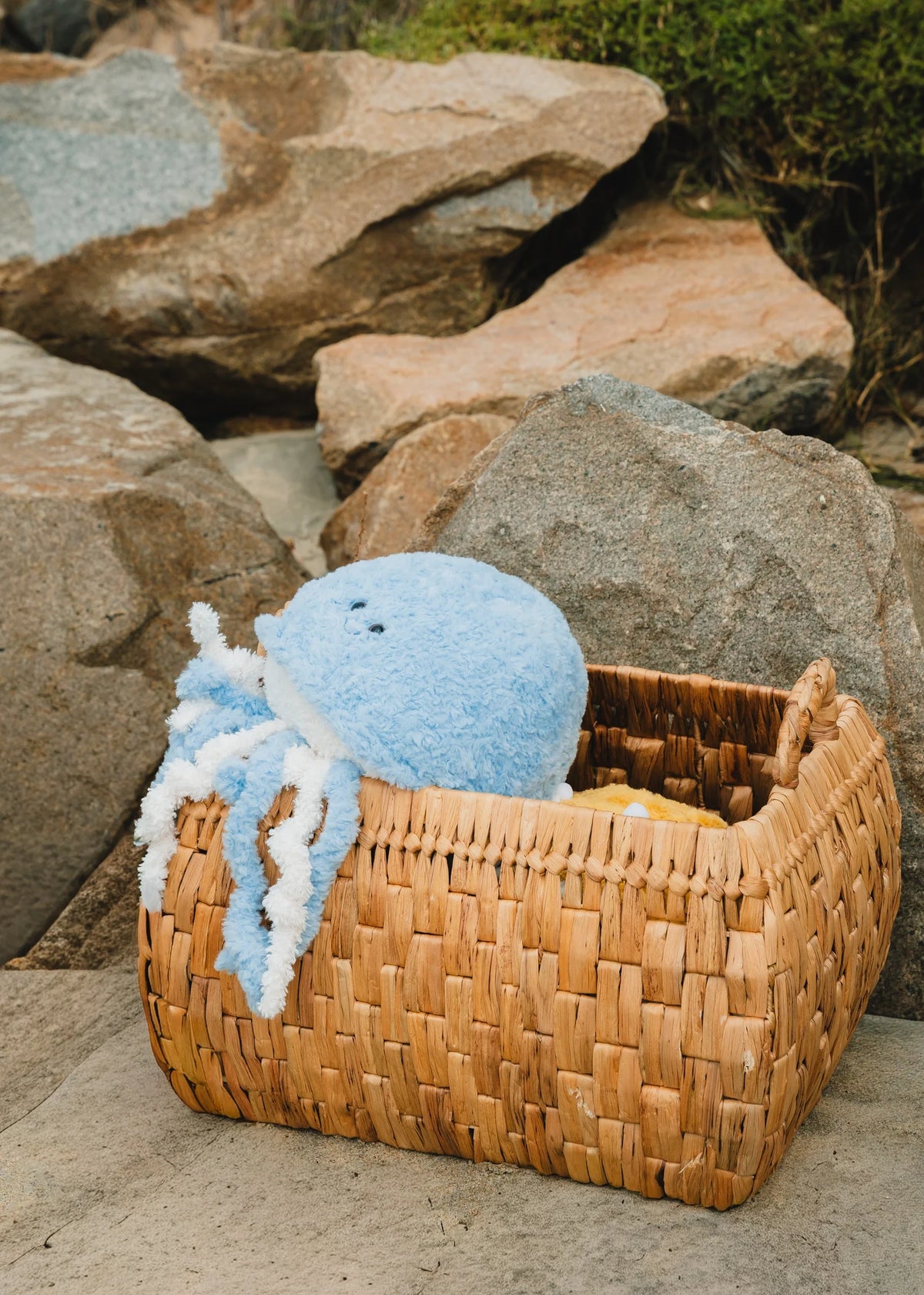 Jellyfish Plush Toy