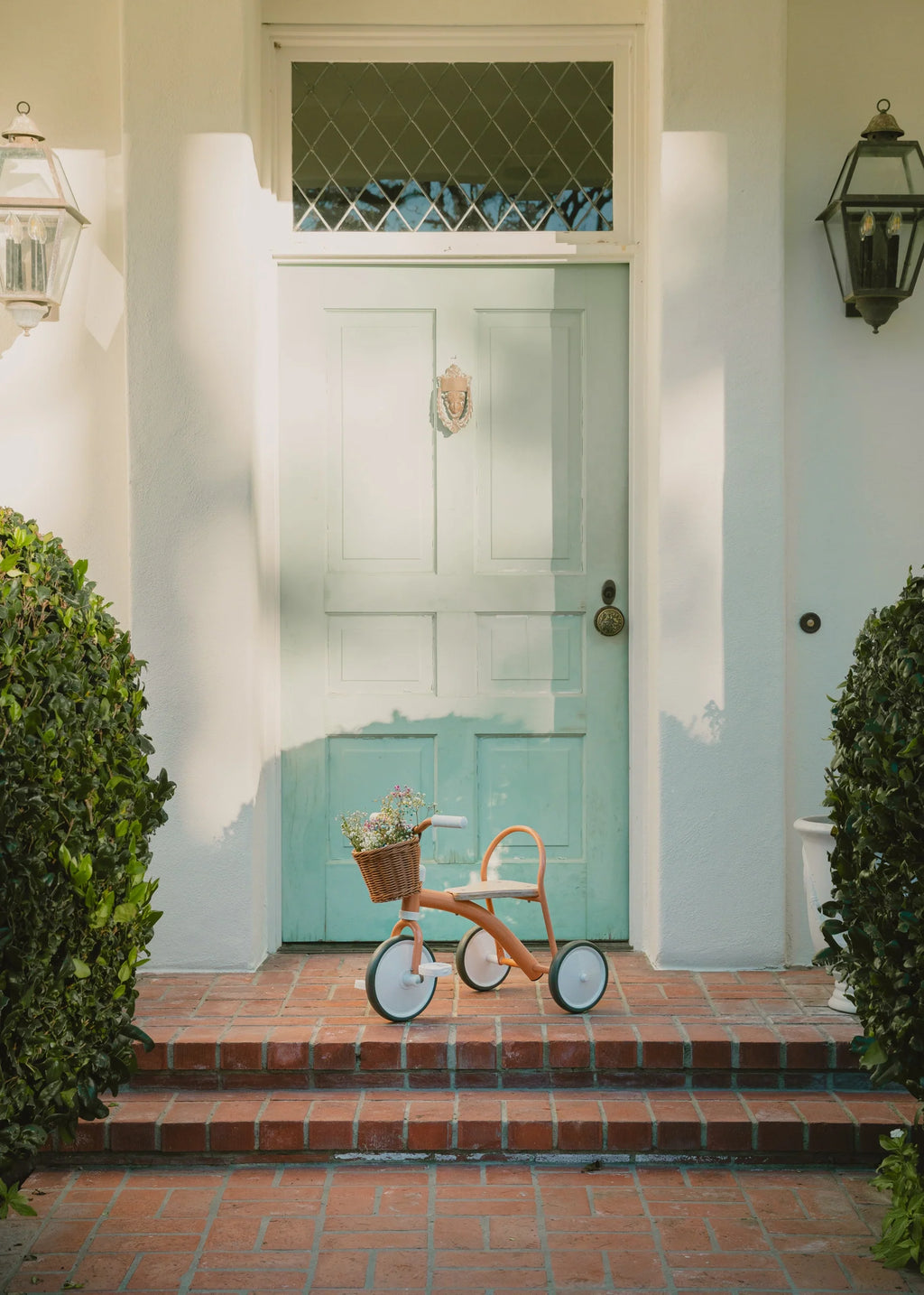 Tricycle – Petunia