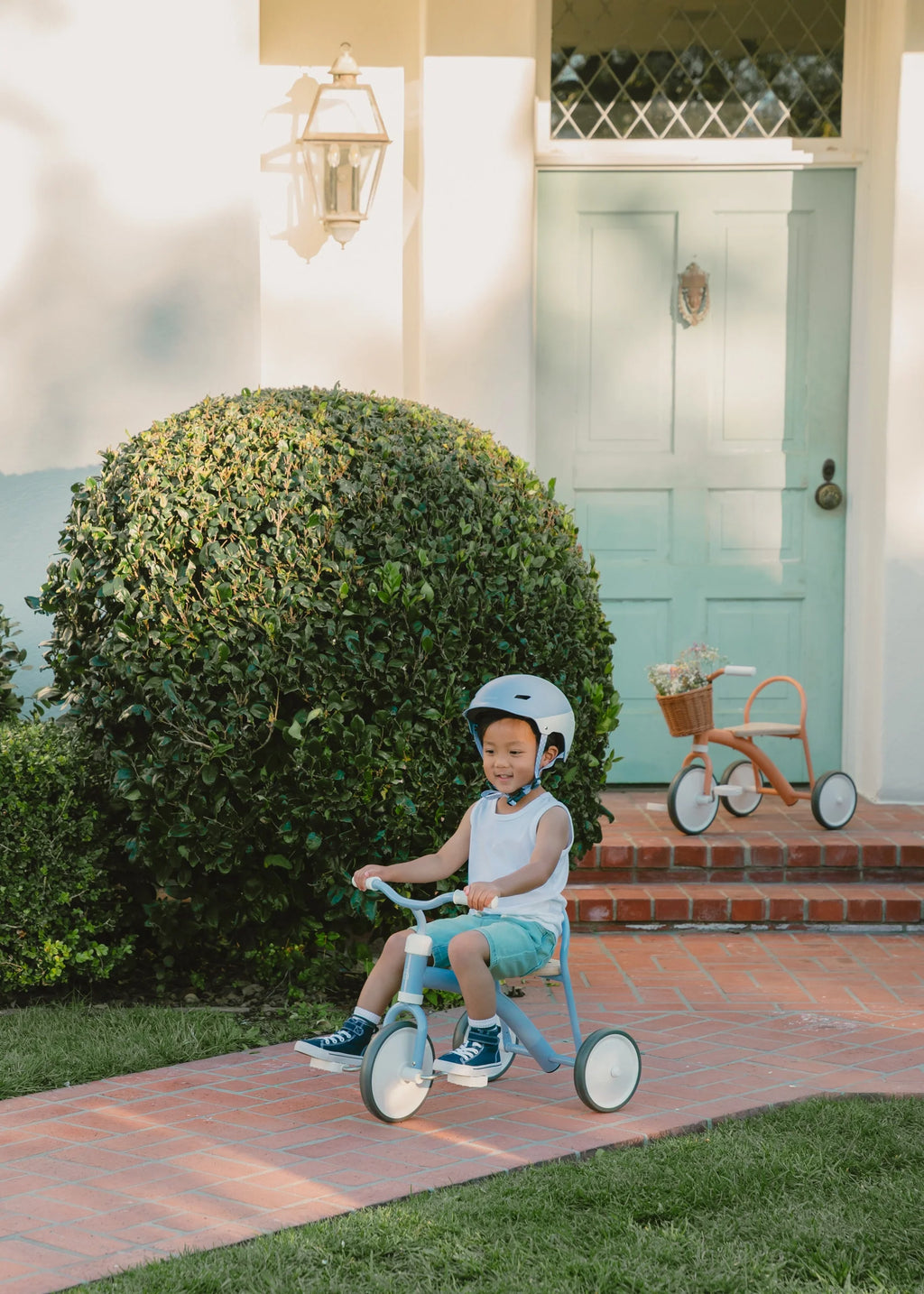 Tricycle – Grapefruit