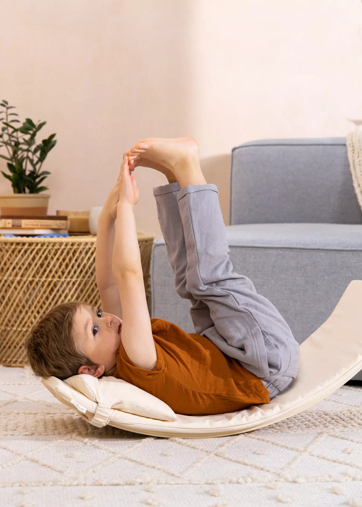 Balance Board Cushion 