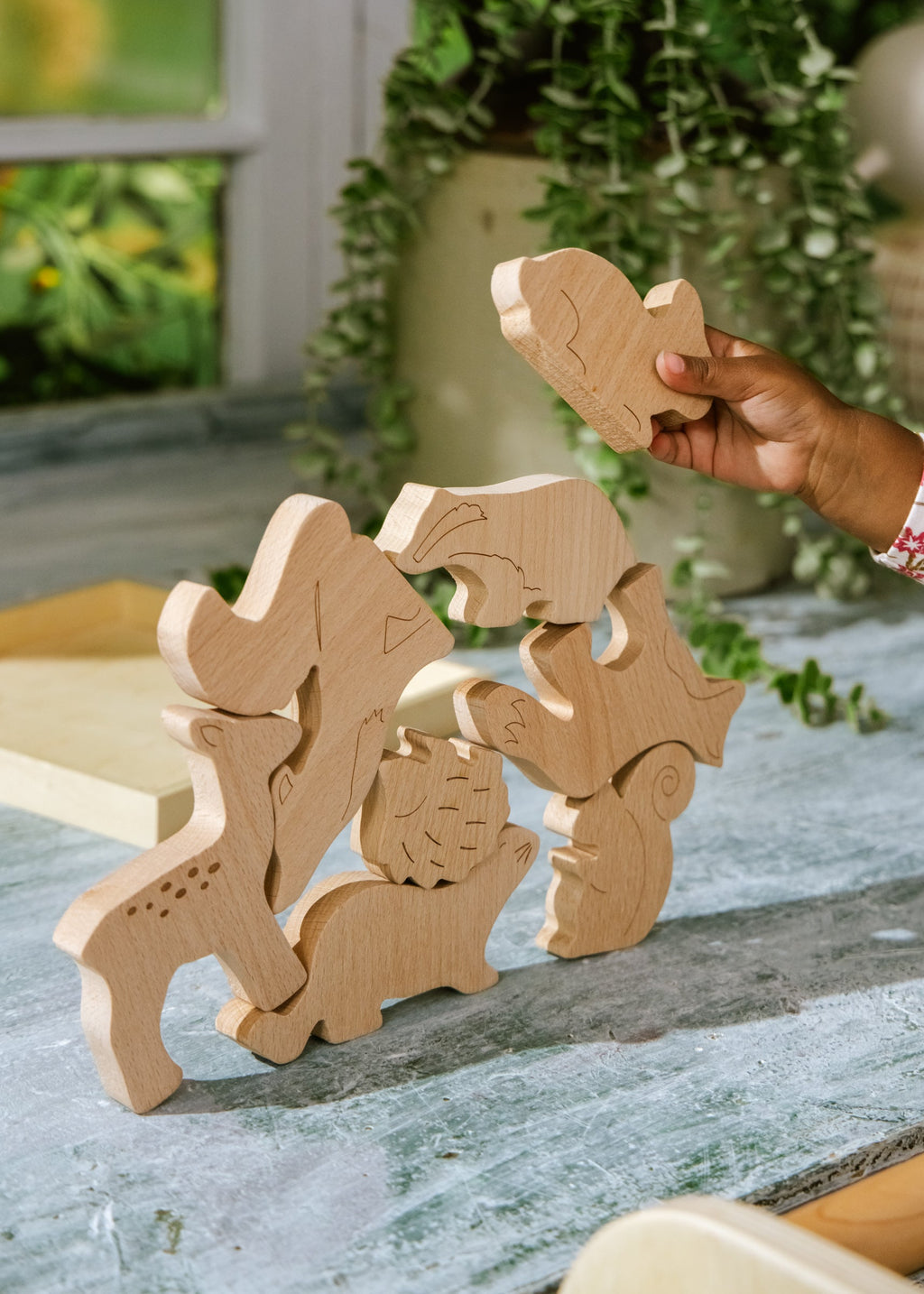 Wooden Balance Puzzle