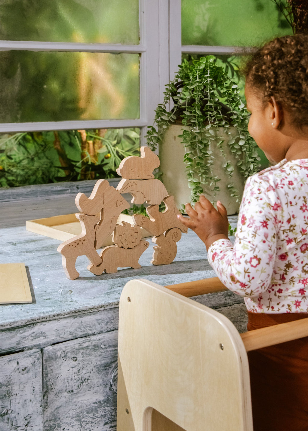 Wooden Balance Puzzle