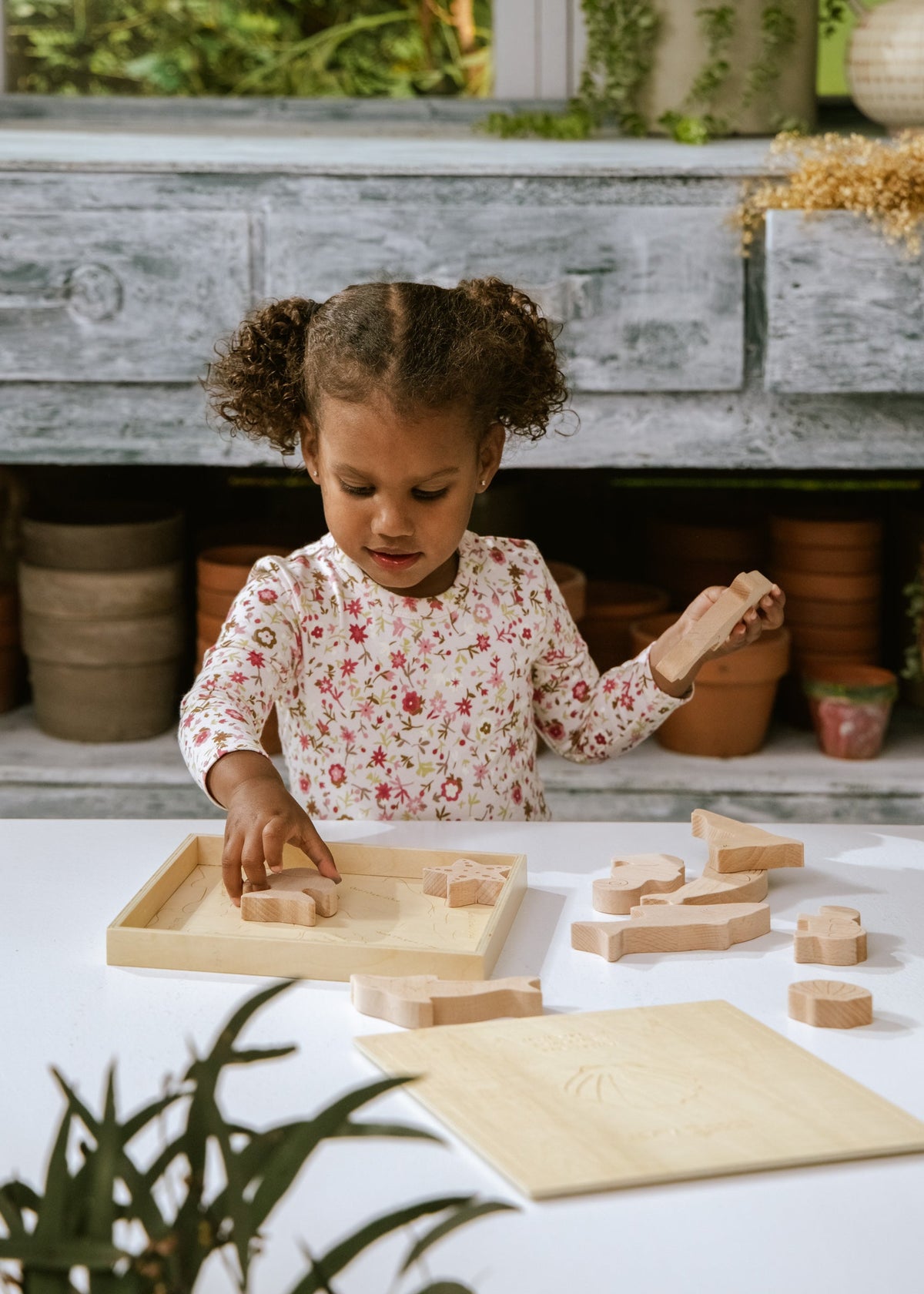 Wooden Puzzle