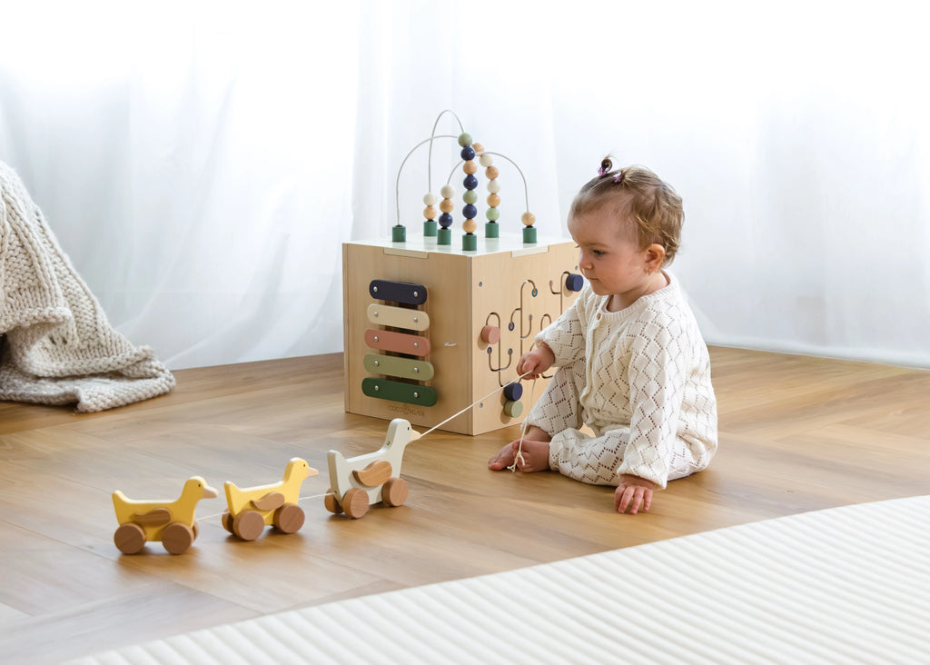 Duck Family Pull Toy