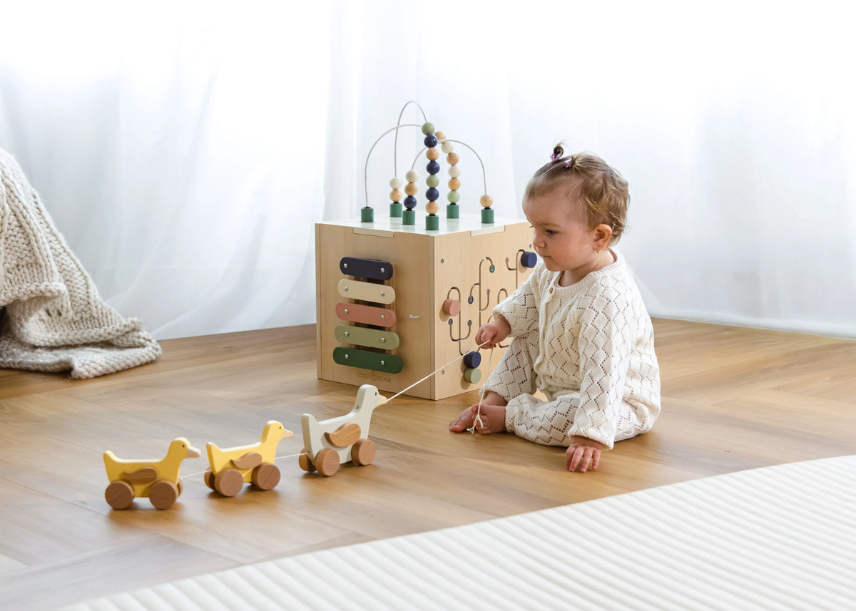 Duck Family Pull Toy