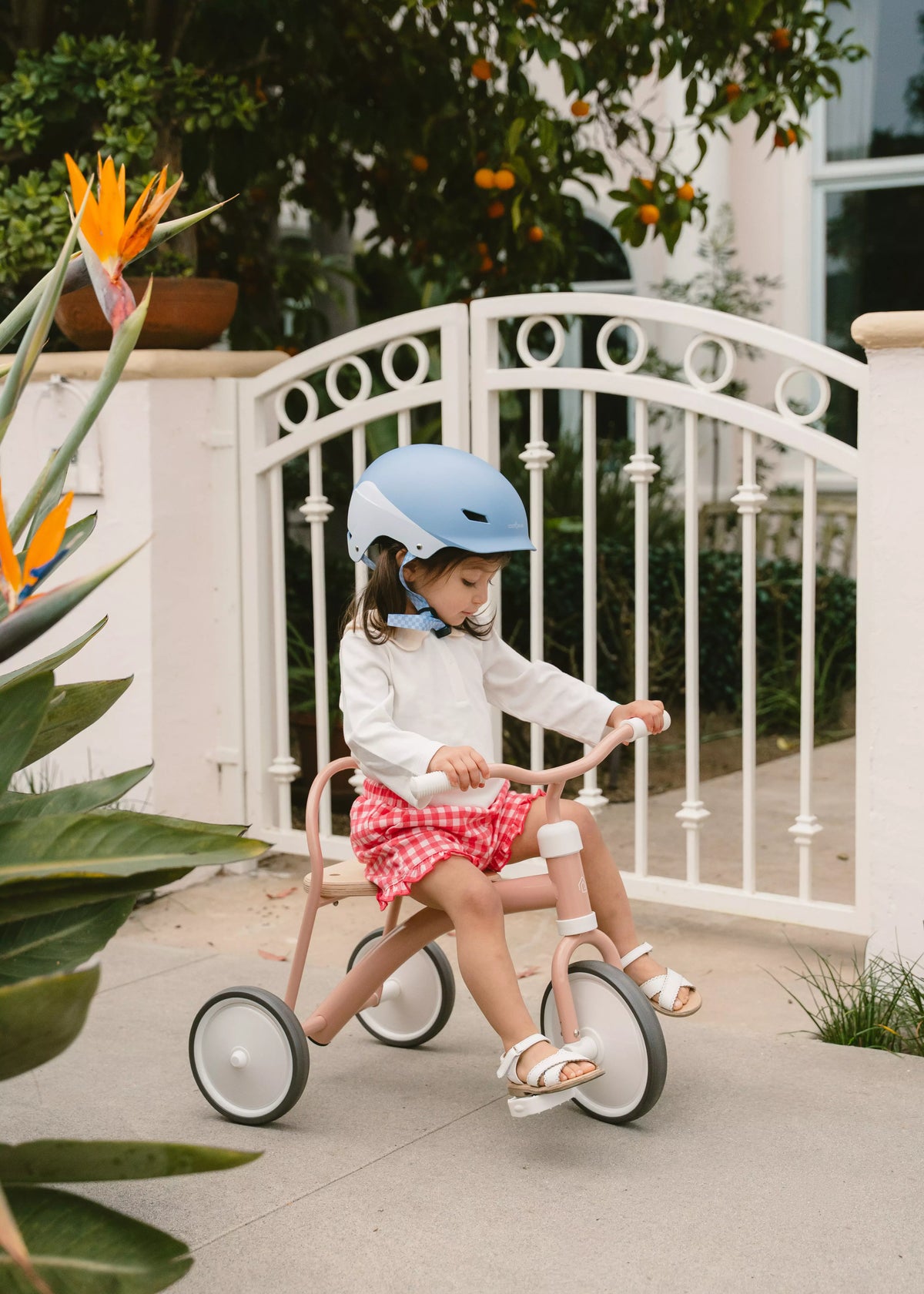 Tricycle – Petunia