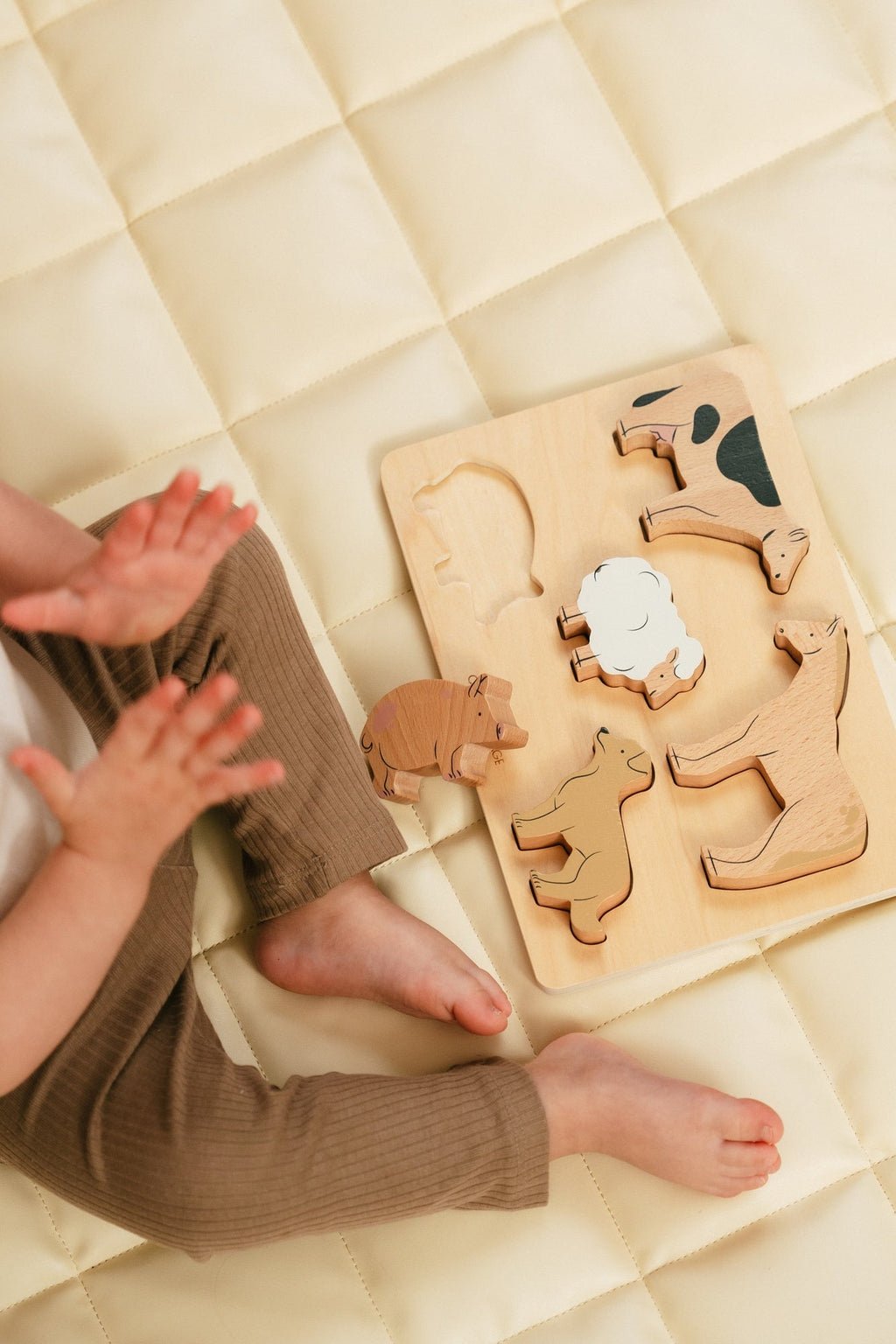Set of 5 Animals on Wooden Plate