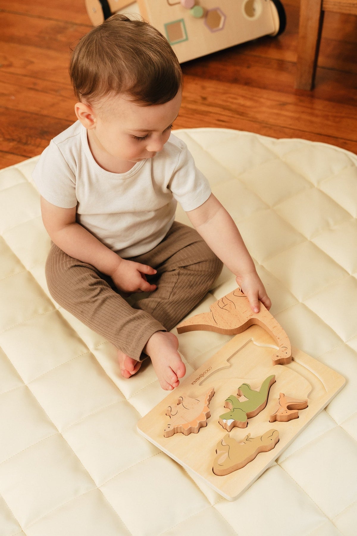 Set of 5 Dinosaurs on Wooden Plate