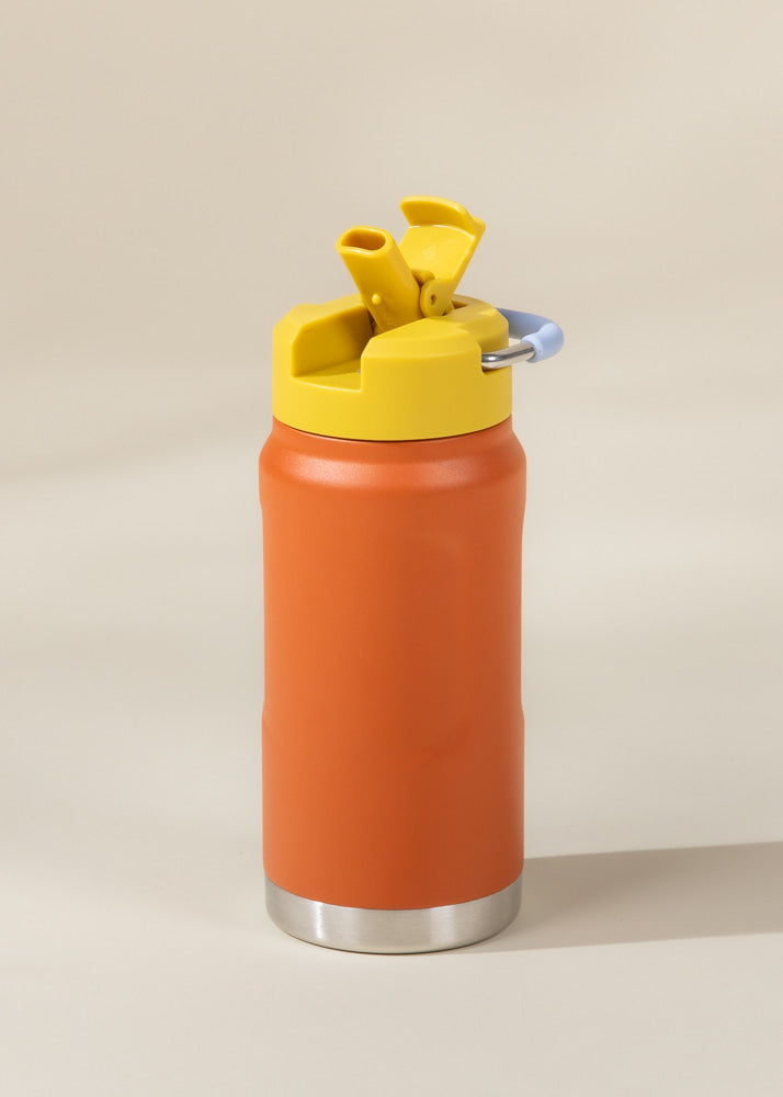 Stainless Steel Isolated Water Bottle